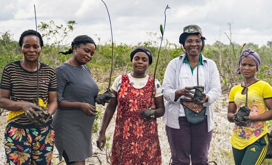 Le PNUE récompense cinq Champions de la Terre pour leur action en faveur des écosystèmes